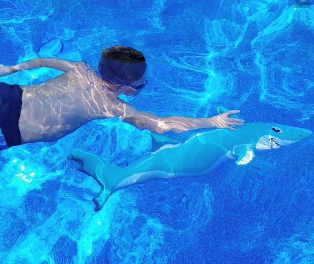 Pool Pets - Sonny the shark