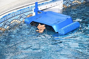 Zak the Pool Miner Pool Net 