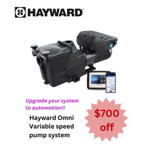 Hayward VS 700 Omni Variable-Speed Super Pump 