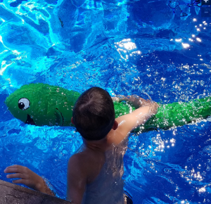 Eel Pool Pets