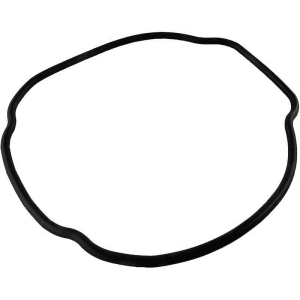 Housing O-Ring for Hayward Tristar Pump