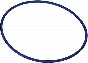 Hayward GMX600F Pro Series Filter Valve O-RIng