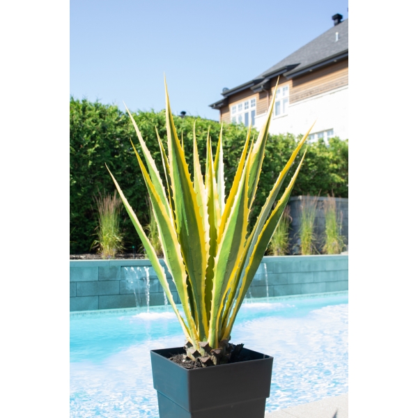 potted green and yellow agave faux planter