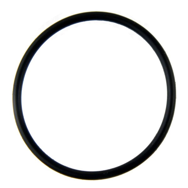 Hayward Turbo Cell Union O-RING