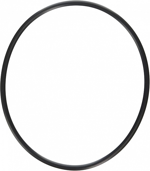 Hayward Cover O-Ring