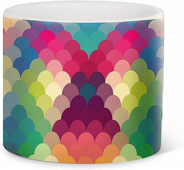 Small Rainbow Scales Planter
