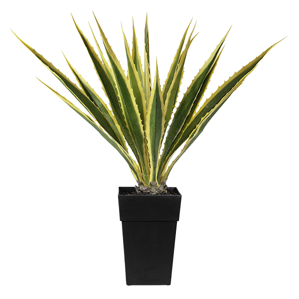 Green & Yellow Agave faux planter