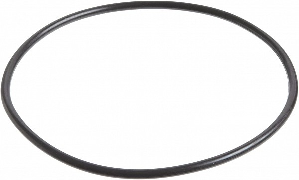Hayward Oring For Offline Chlorinator