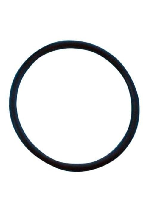 O-ring For LM2 Salt System