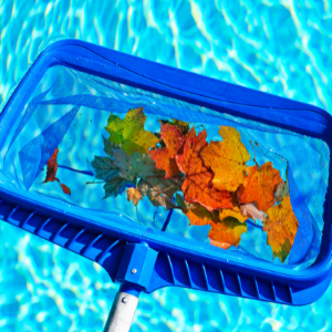 cost of installing a plunge pool