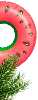 lifebuoy